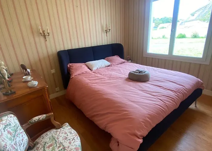 Vakantiehuis Grande Maison Familiale 50m De La - Le Nid D'asnelles Asnelles